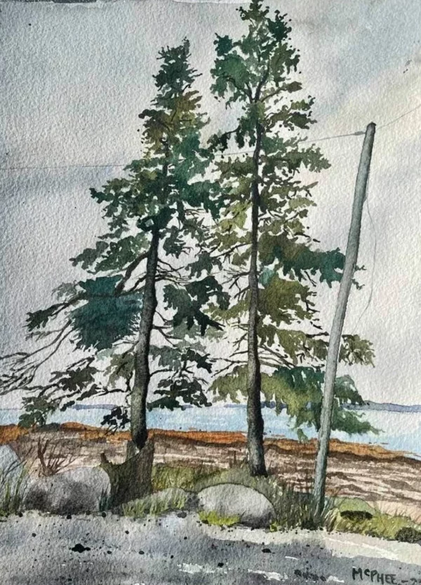 Archival Watercolor Print- "Three Trees" - David McPhee